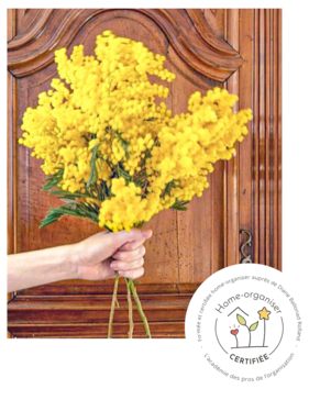 Homely Mimosa