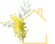 Homely Mimosa