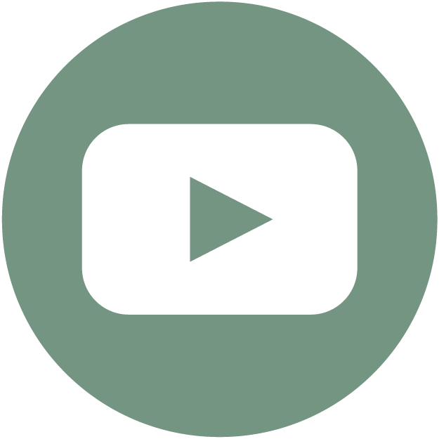 Homely Mimosa sur Youtube